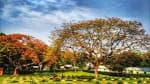 Comilla War Cemetery